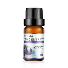 10ML Aroma Humidifier Special Essential Oil (Option: 10ml-Bulgarian Rose Fragrance)